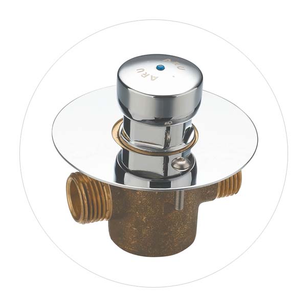 Push Button Valve