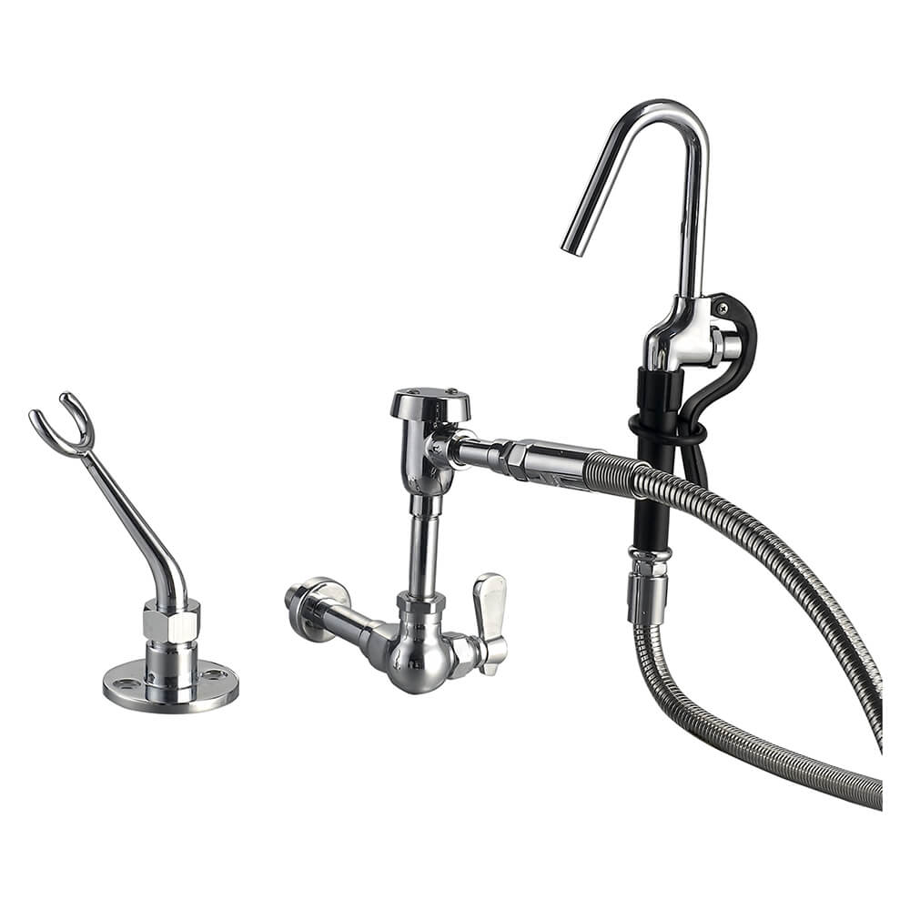 Wall Mount Pot Filler Faucet 9817-M800-VB