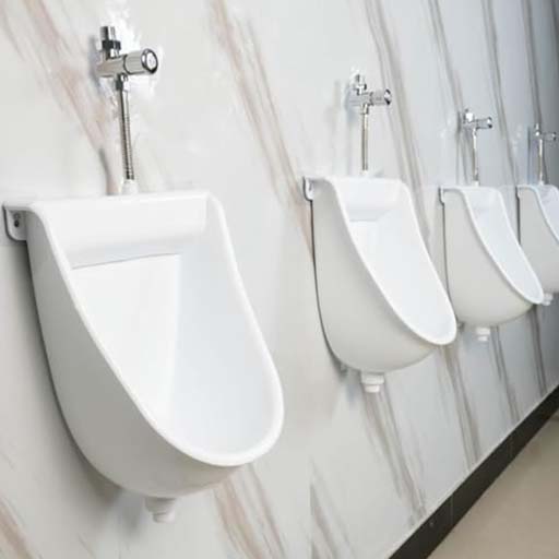 Catalogue Urinal Flush Valve Application